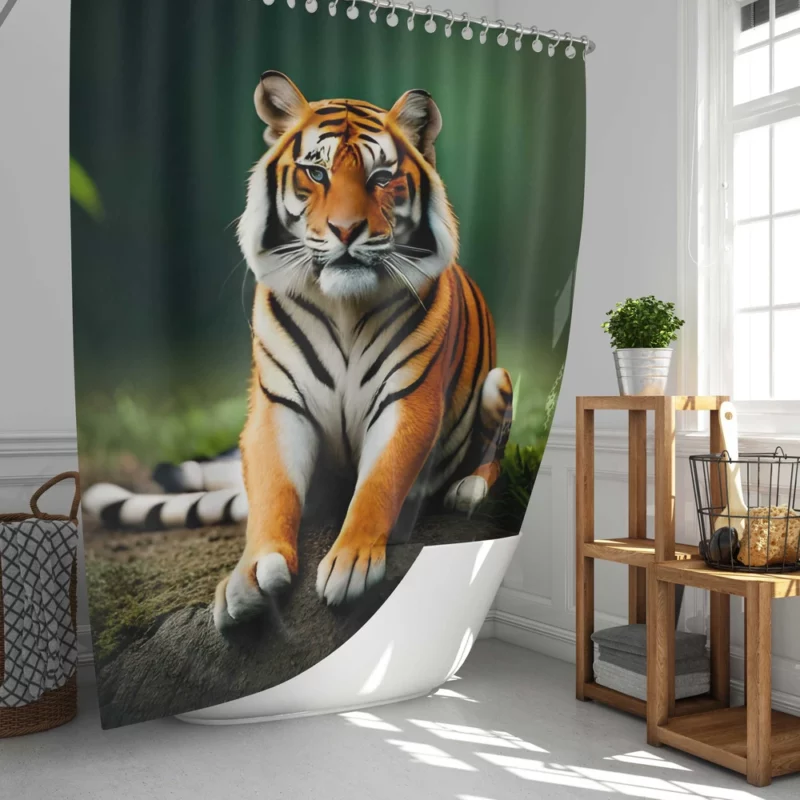 Bengal Tiger Sitting on Rock Shower Curtain