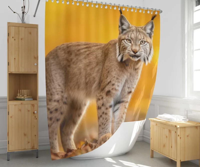 Bobcat in Autumn Season Shower Curtain 1