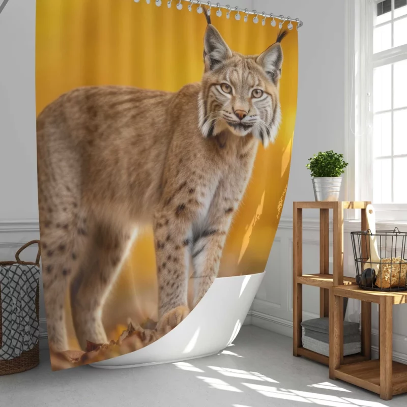 Bobcat in Autumn Season Shower Curtain