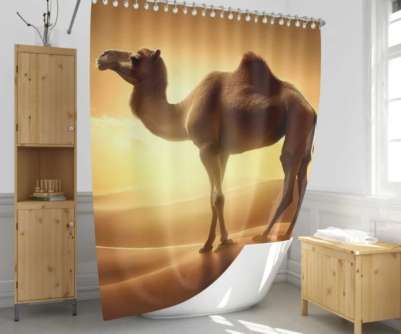 Camel in Desert Sunset Shower Curtain 1