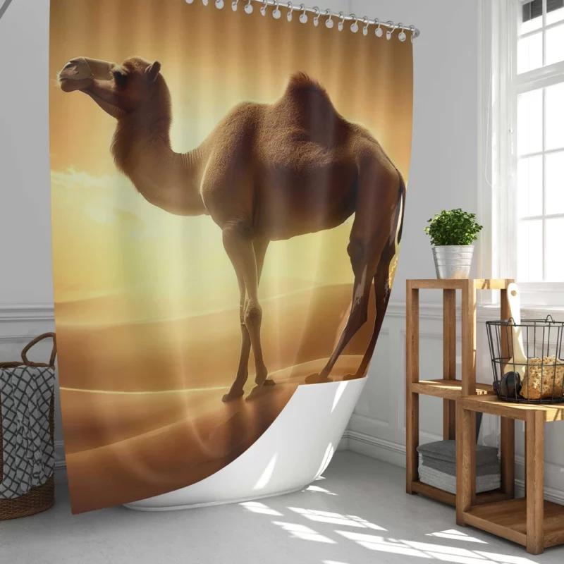 Camel in Desert Sunset Shower Curtain