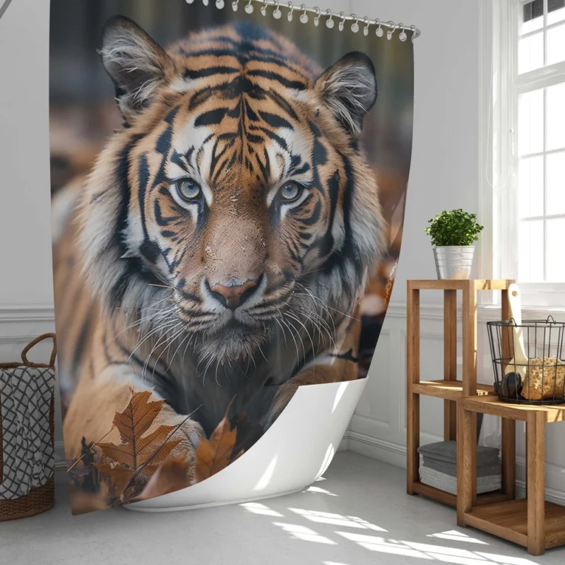 Celebrating the Majesty of Bengal Tigers Shower Curtain