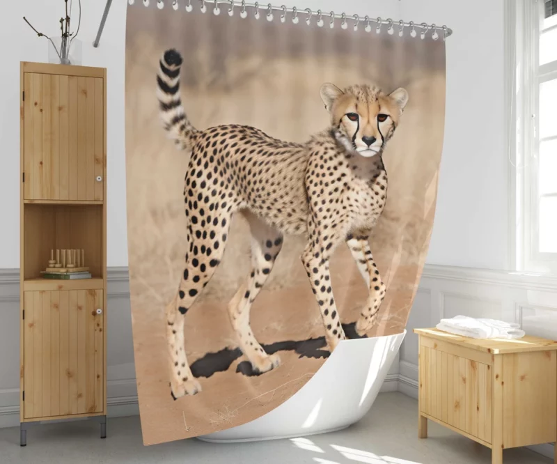 Cheetah Running Artwork Shower Curtain 1