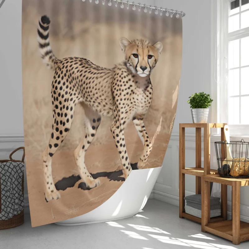 Cheetah Running Artwork Shower Curtain