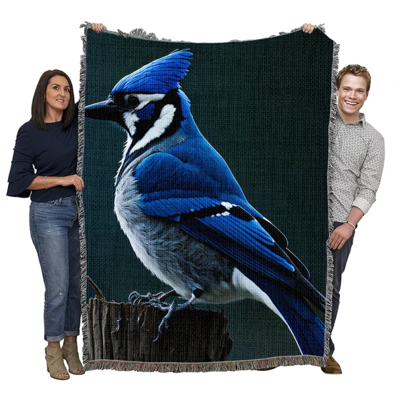 Close Up Blue Jay on Branch Woven Blanket