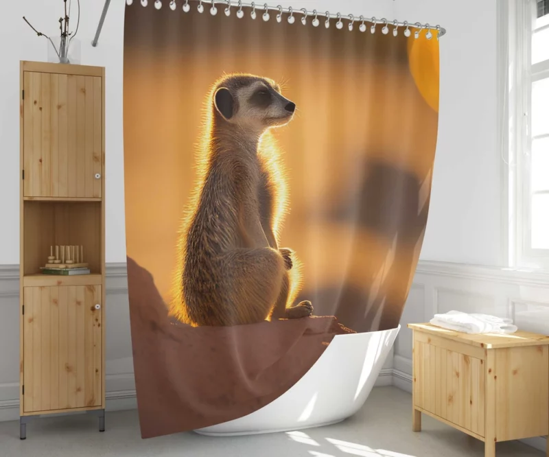 Curious Meerkat Atop Sun-Warmed Rock Shower Curtain 1