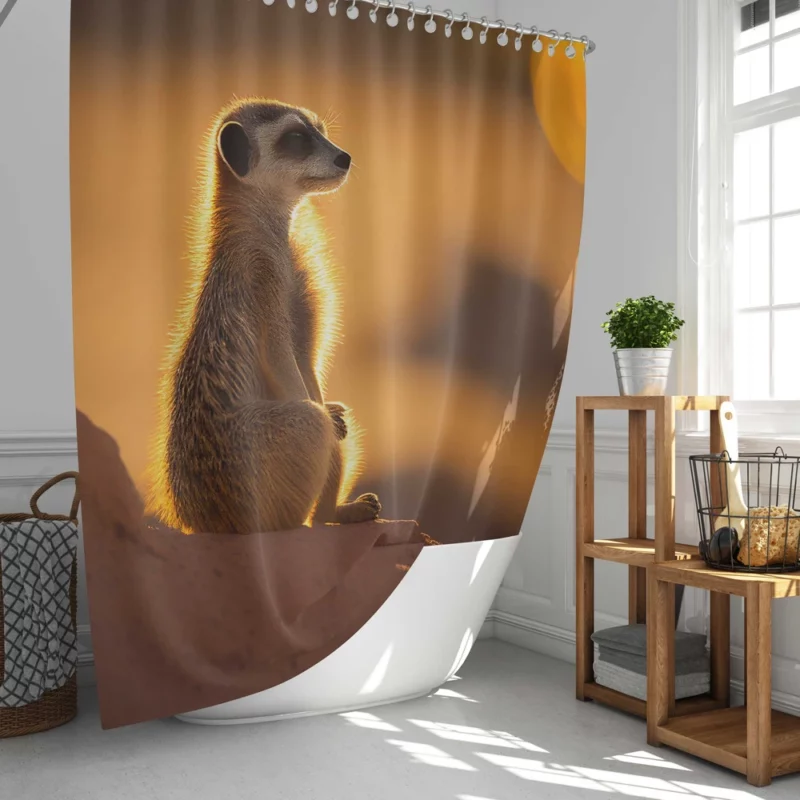 Curious Meerkat Atop Sun-Warmed Rock Shower Curtain