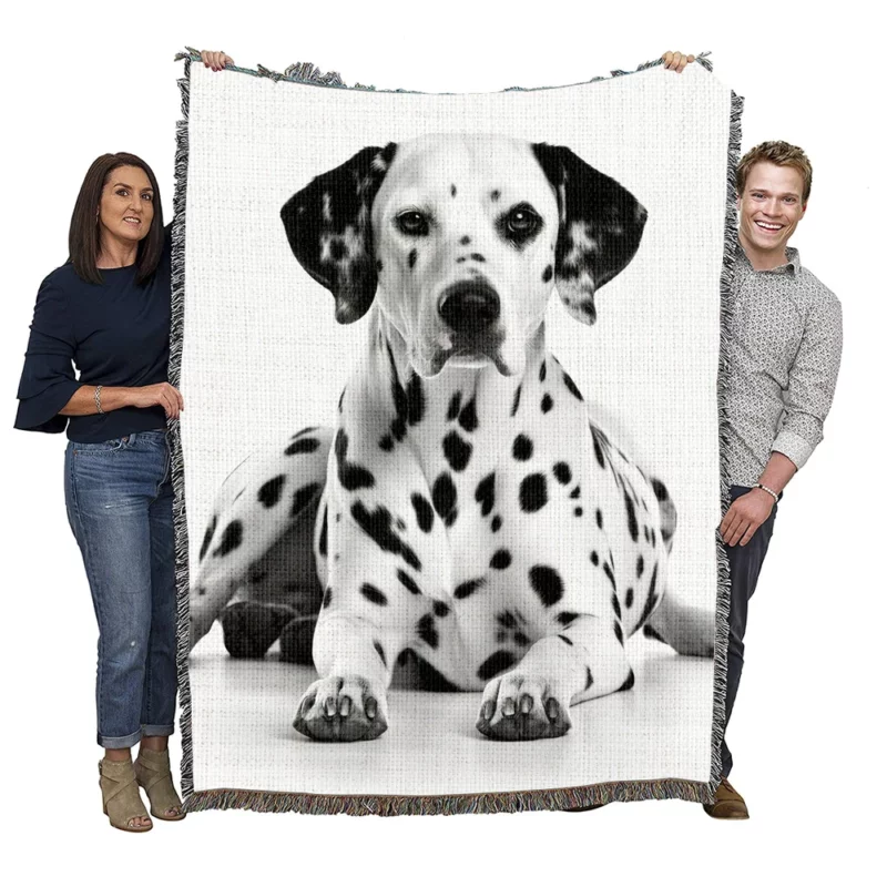 Dalmatian Dog Portrait Woven Blanket