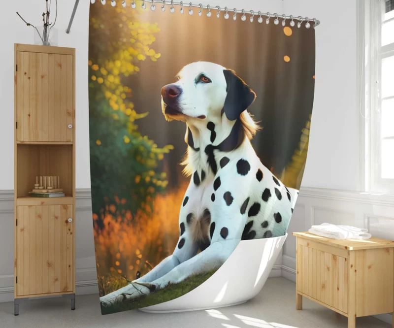 Dalmatian Dog in the Sunshine Shower Curtain 1