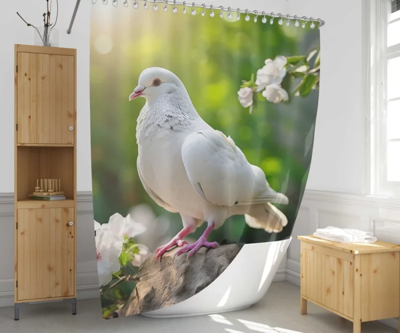 Dove Among Plants and Stone Shower Curtain 1