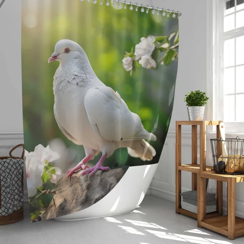 Dove Among Plants and Stone Shower Curtain