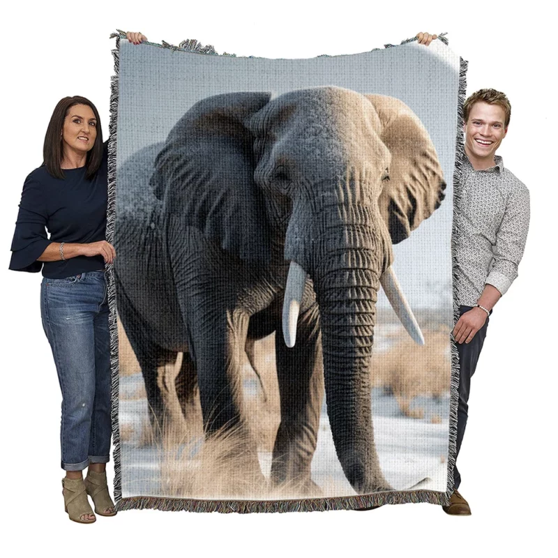 Elephant with Snowy Tusks Woven Blanket