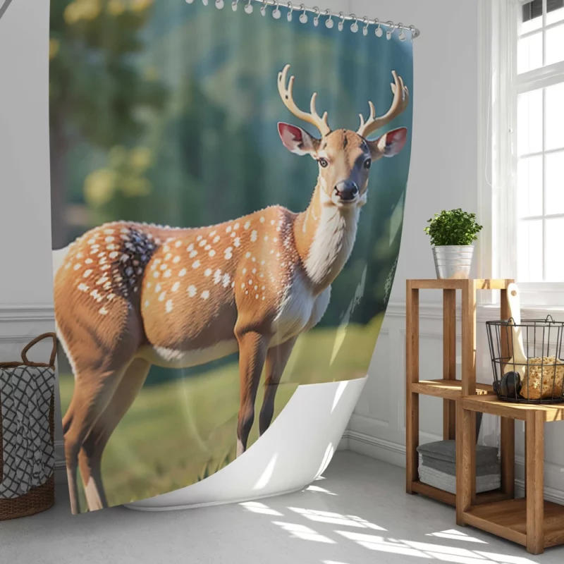 Endangered Grace A Sika Deer in the Forest Shower Curtain