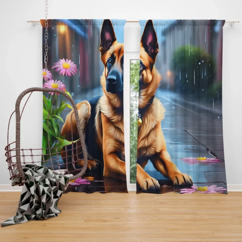 Energetic Belgian Malinois Dog Canine Athlete Curtain