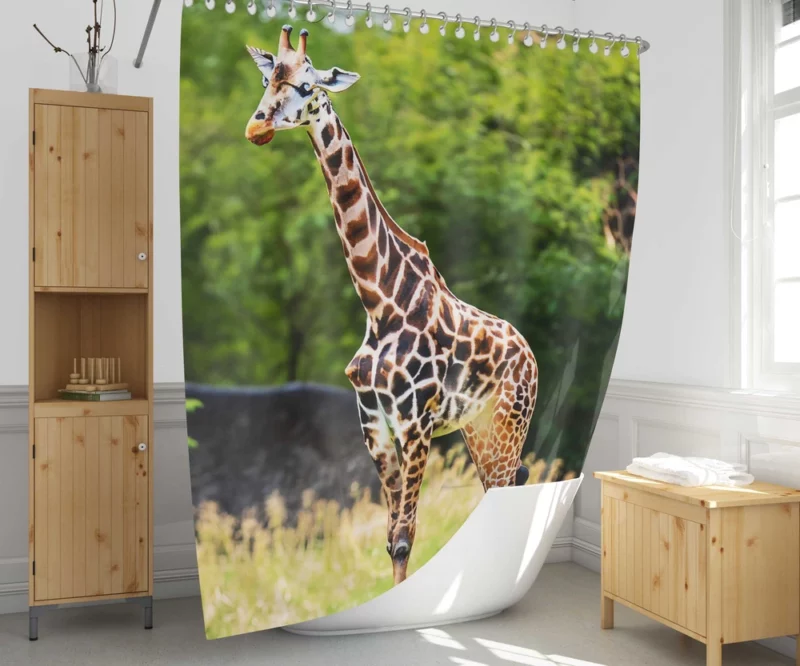 Giraffe Close-Up Photography Shower Curtain 1