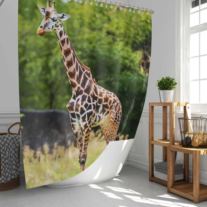 Giraffe Close-Up Photography Shower Curtain