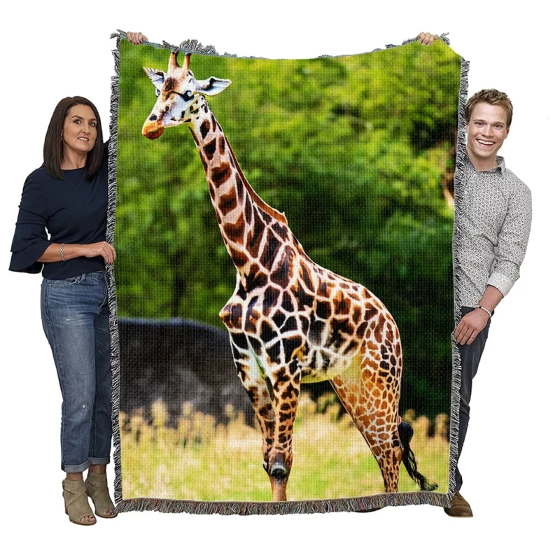 Giraffe Close-Up Photography Woven Blanket