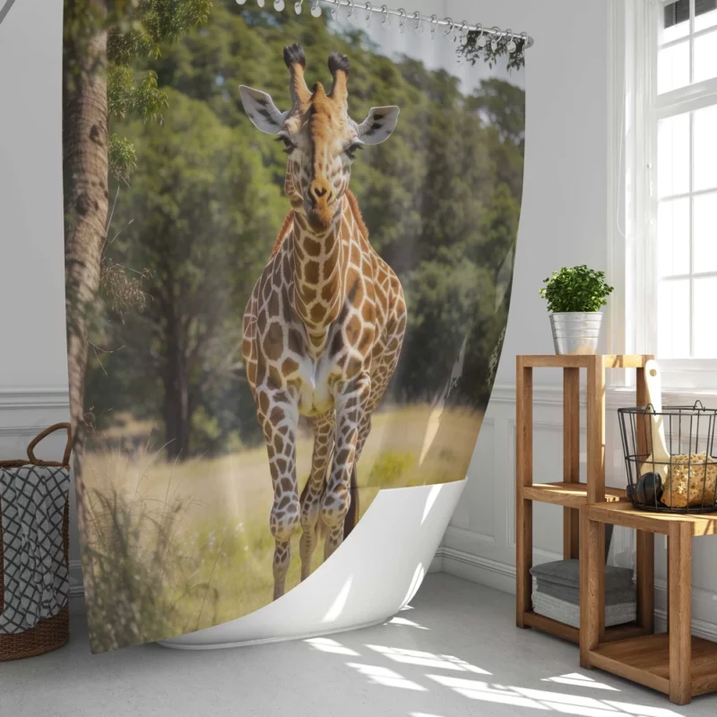 Giraffe Close-Up in Nature Shower Curtain