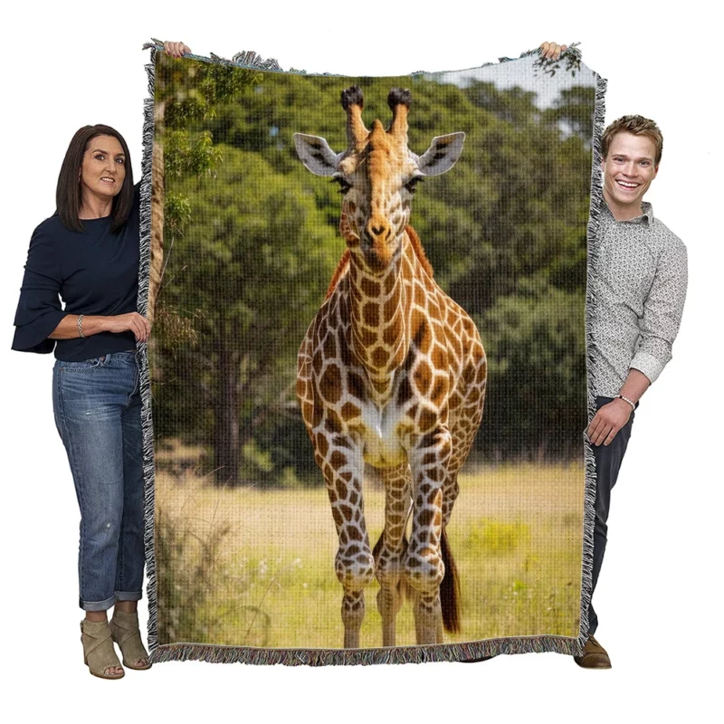 Giraffe Close-Up in Nature Woven Blanket