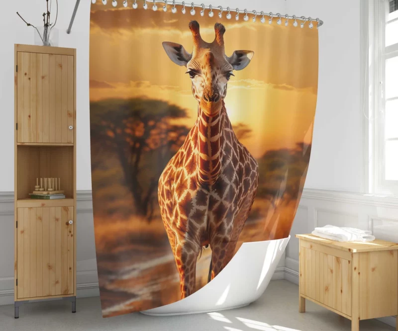 Giraffe Forages in Africs Shower Curtain 1