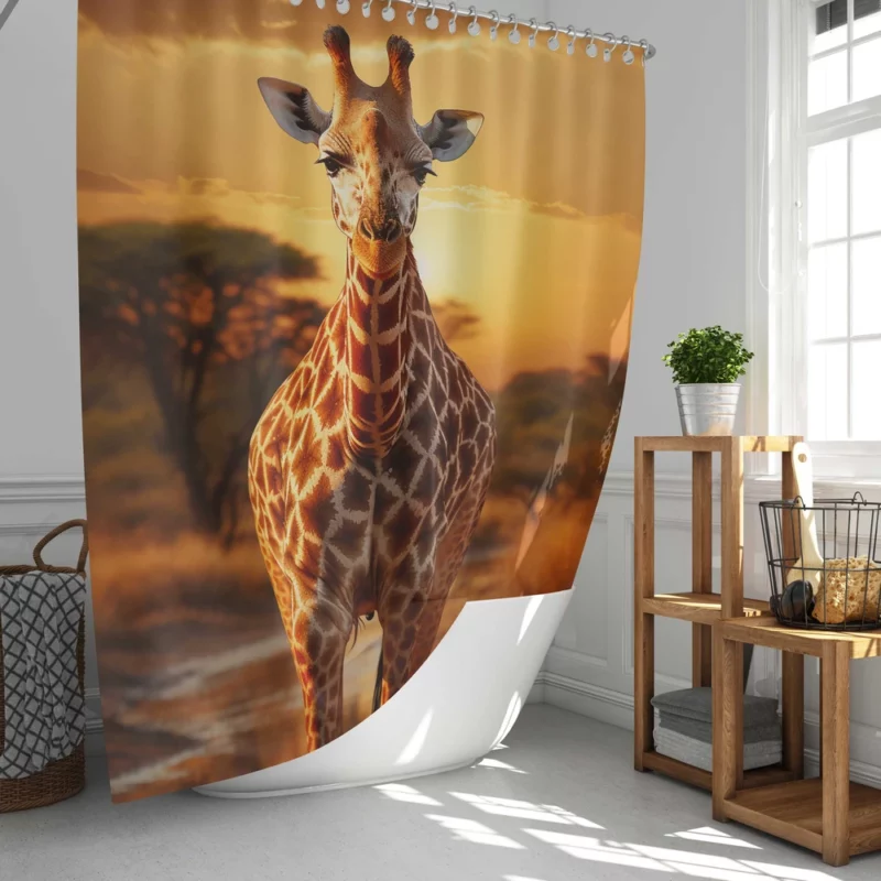 Giraffe Forages in Africs Shower Curtain