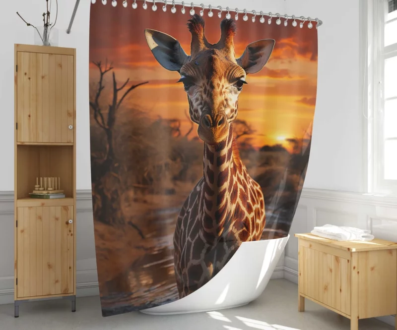 Giraffe Foraging in Africa Shower Curtain 1