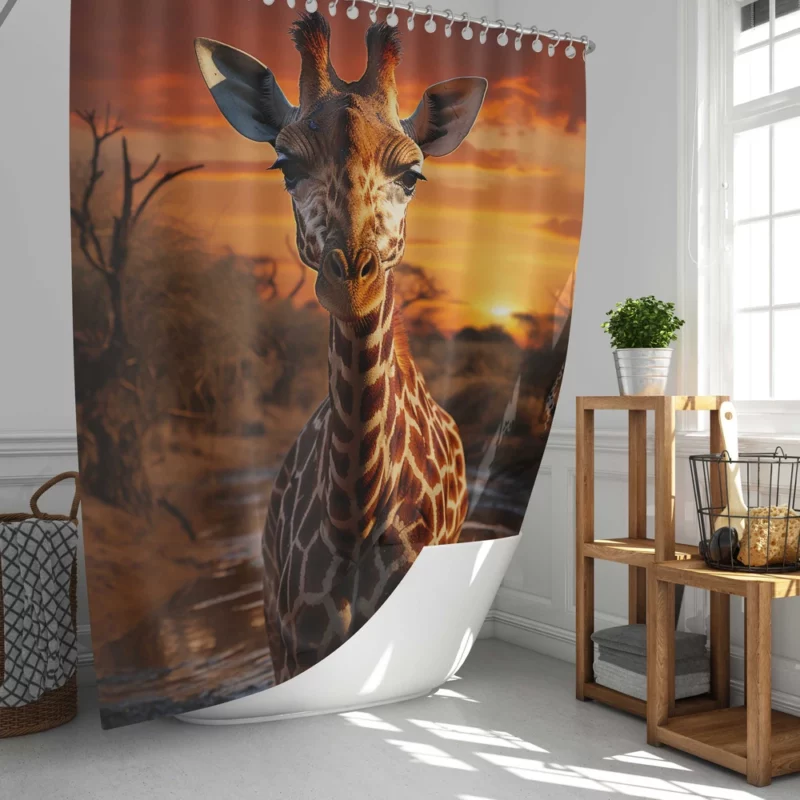 Giraffe Foraging in Africa Shower Curtain