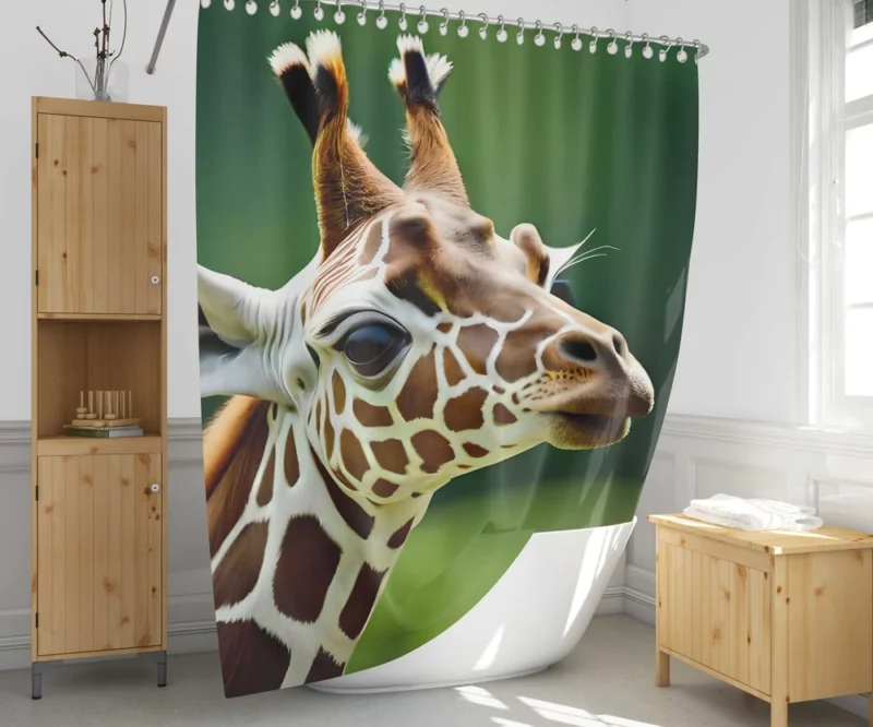 Giraffe With an Ear Tag Shower Curtain 1