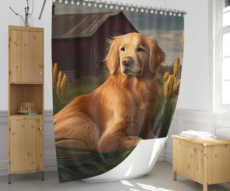 Golden Retriever Near Barn Shower Curtain 1