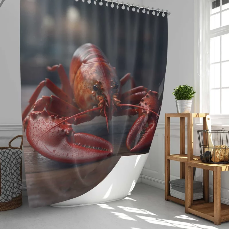 High Quality Lobster Photo Shower Curtain