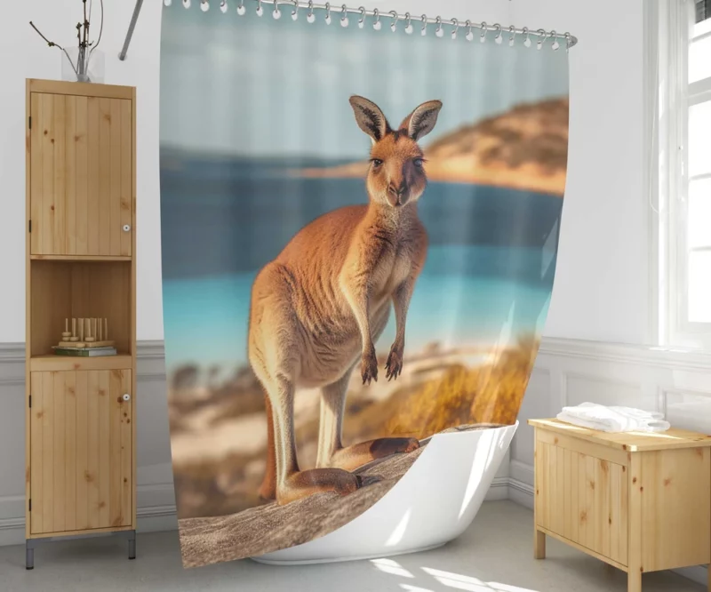 Kangaroo on Australian Beach Shower Curtain 1