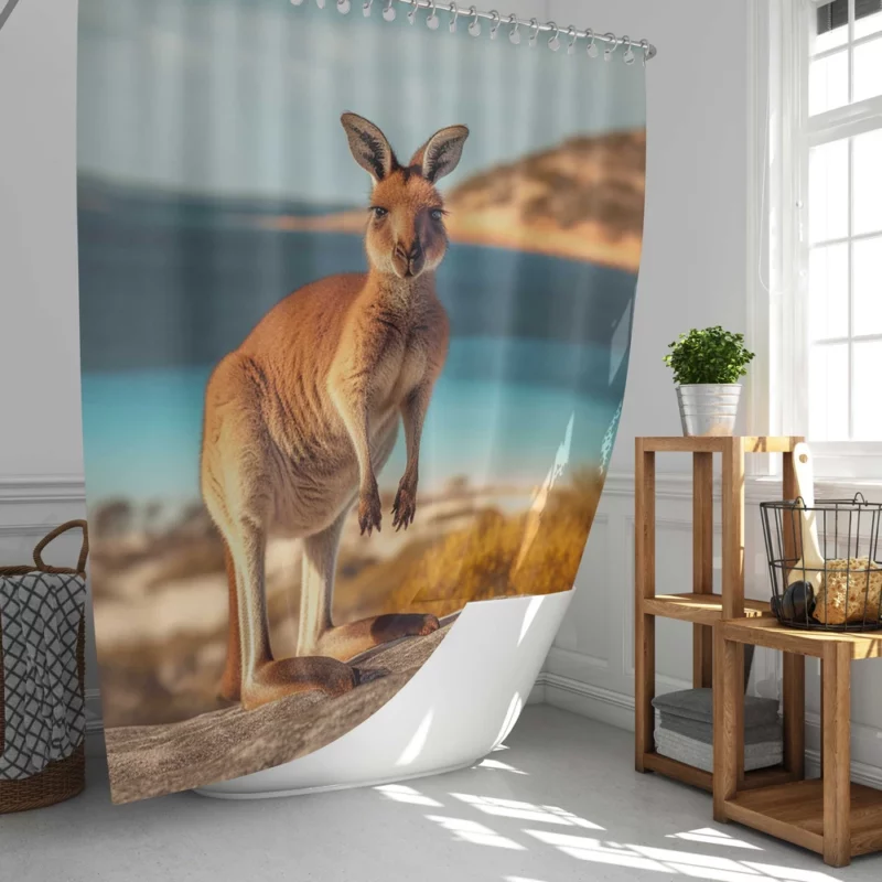 Kangaroo on Australian Beach Shower Curtain