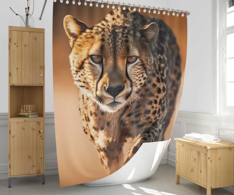 Majestic Cheetah at Sunset Shower Curtain 1