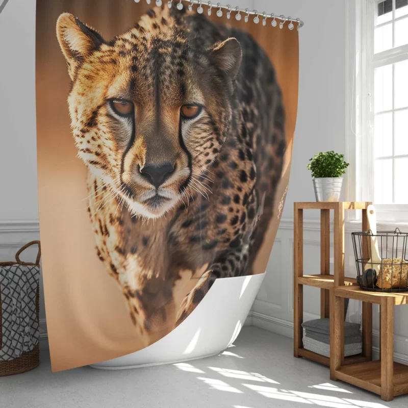 Majestic Cheetah at Sunset Shower Curtain