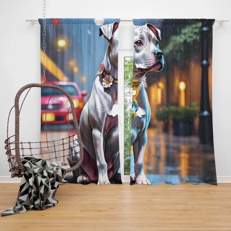 Muscular Strength American Staffordshire Terrier Dog Curtain