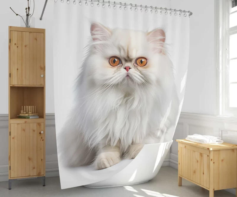 Orange Eyed Angora Cat Shower Curtain 1