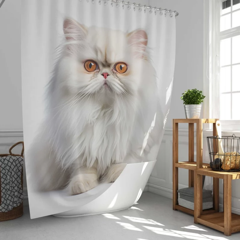 Orange Eyed Angora Cat Shower Curtain