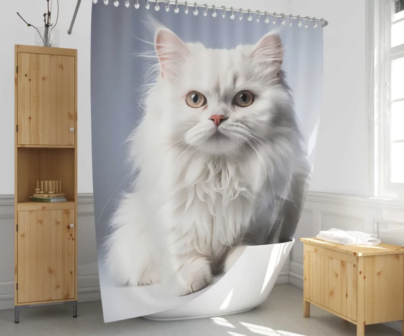 Persian Cat With Dichromatic Eyes Shower Curtain 1