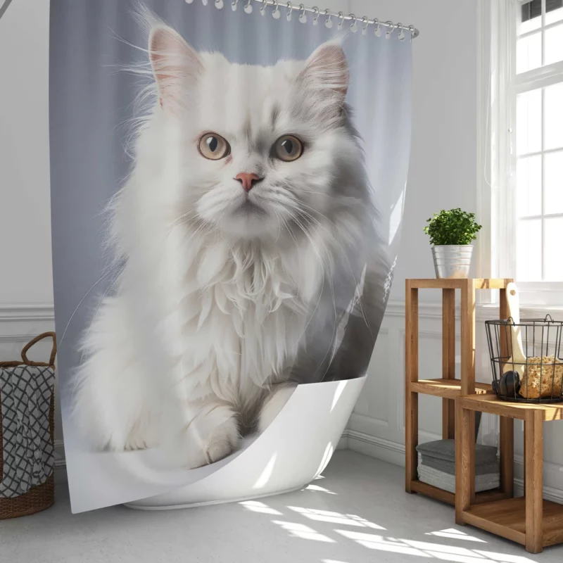 Persian Cat With Dichromatic Eyes Shower Curtain