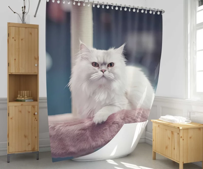 Persian Cat in Salon Shower Curtain 1