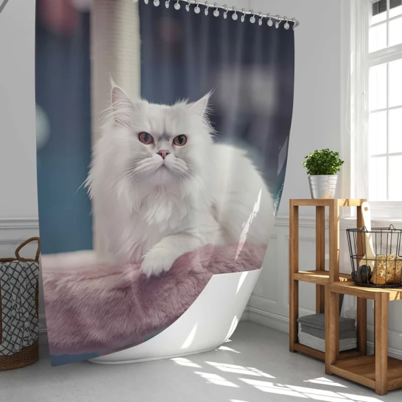 Persian Cat in Salon Shower Curtain