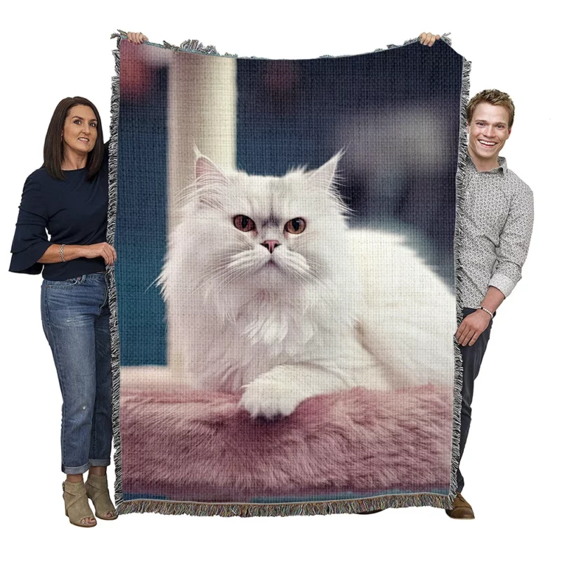 Persian Cat in Salon Woven Blanket