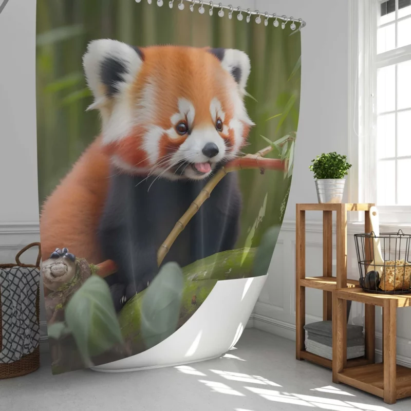 Red Panda Feasting in the Bamboo Forest Shower Curtain