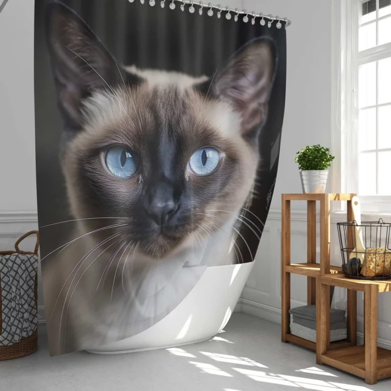 Siamese Cat AI Generation Shower Curtain