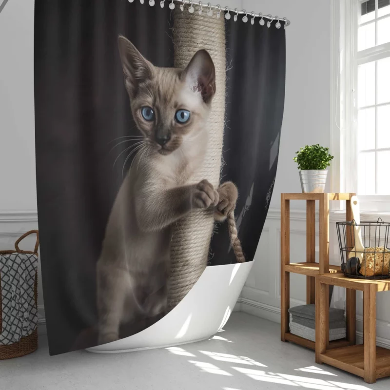 Siamese Kitten Scratching Post Shower Curtain