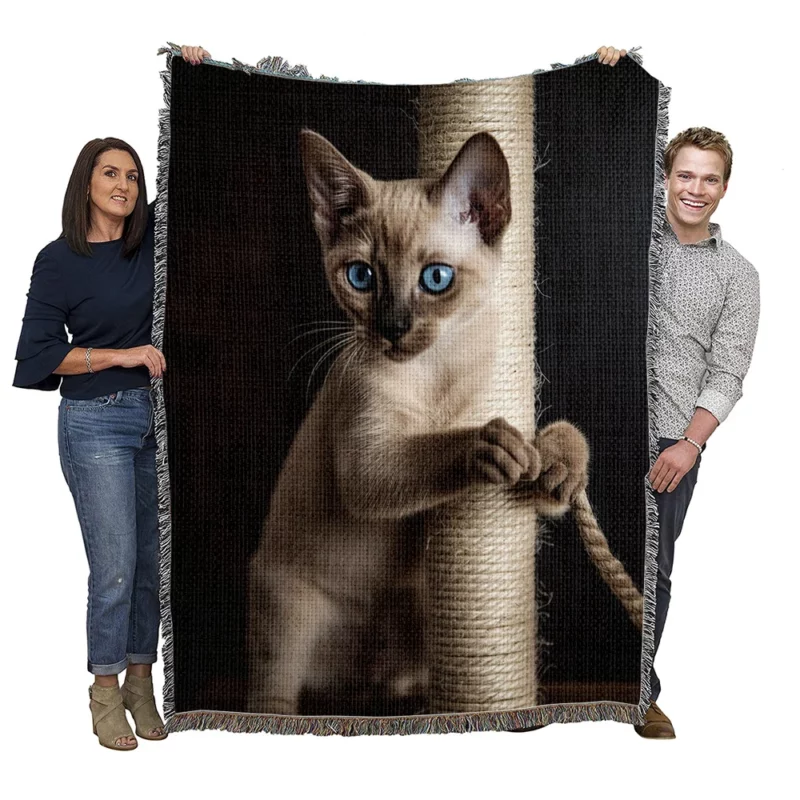 Siamese Kitten Scratching Post Woven Blanket