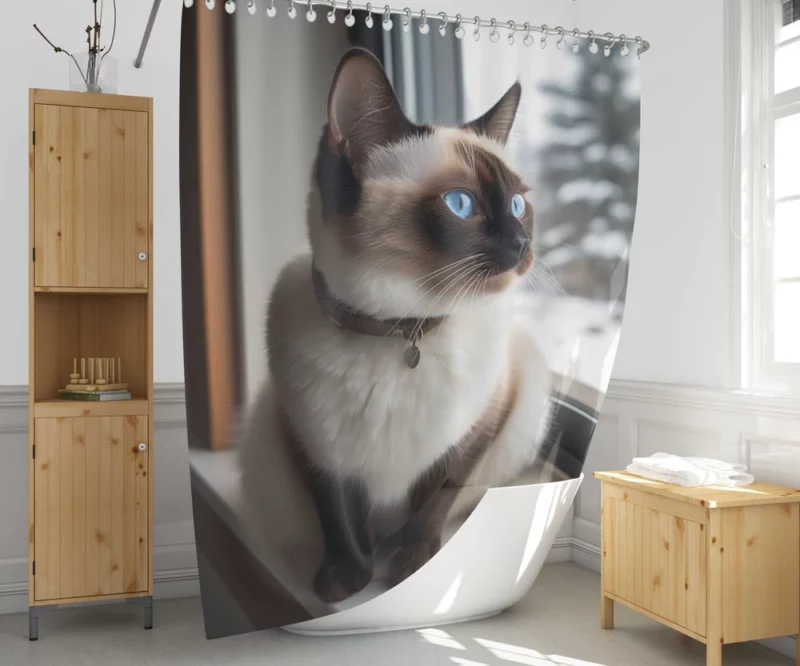 Snowshoe Cat on Windowsill Shower Curtain 1