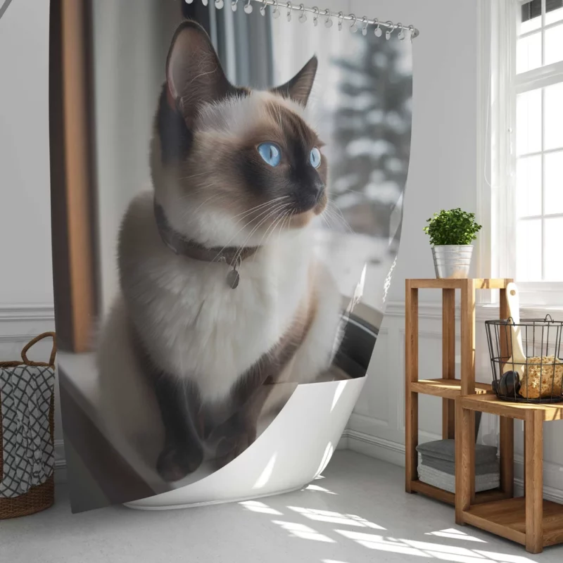 Snowshoe Cat on Windowsill Shower Curtain