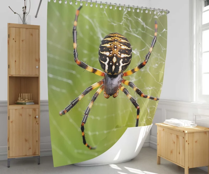 Spider in Web Portrait Shower Curtain 1