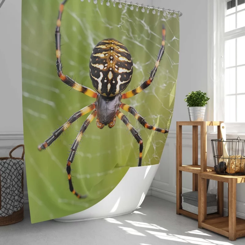 Spider in Web Portrait Shower Curtain